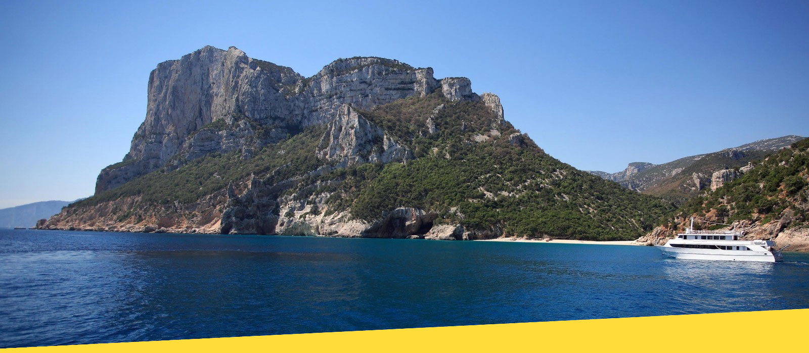 calagononecrocierebg-1-giallo